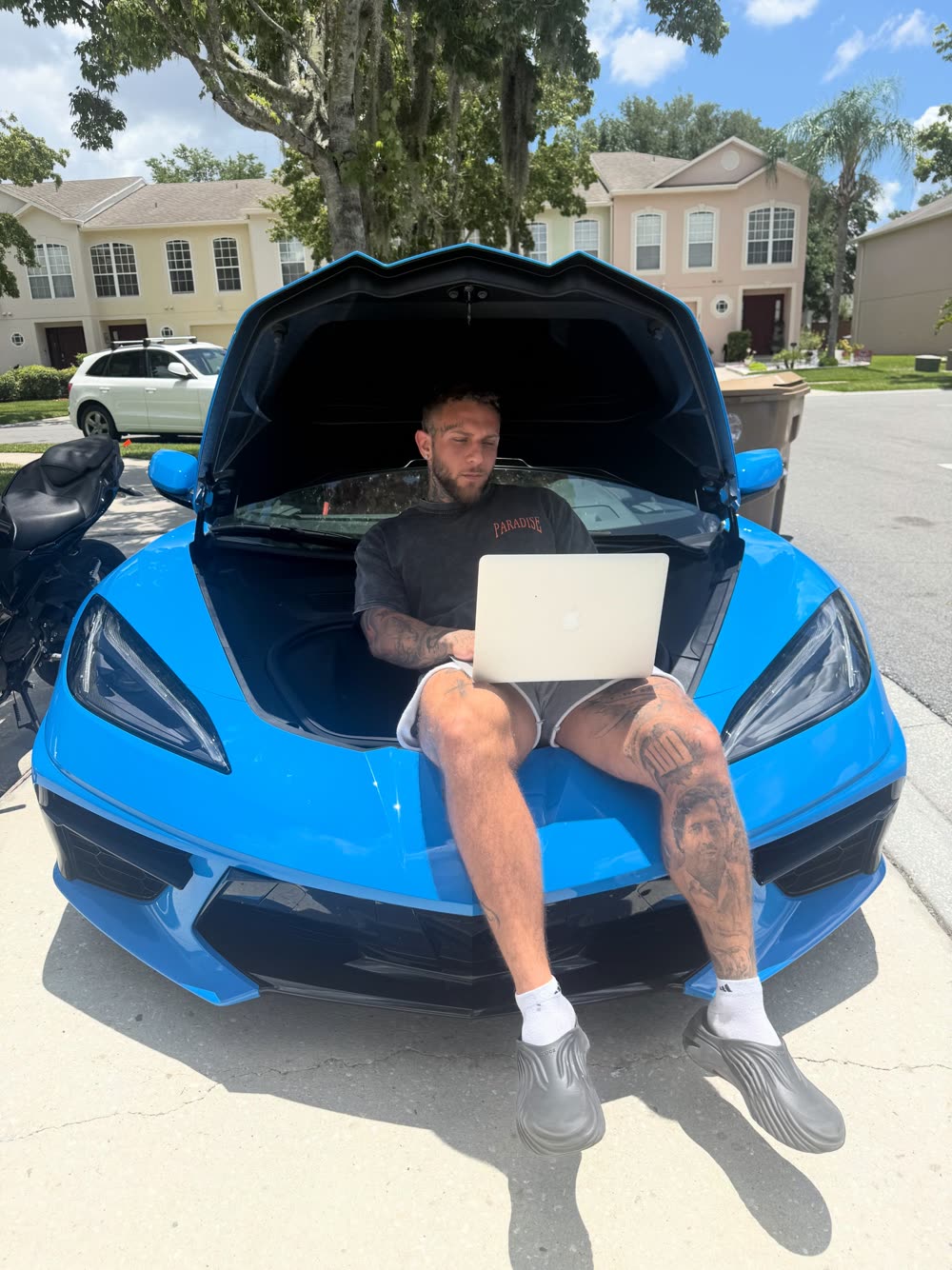 Pipmarv — ELITETRADEZ